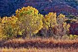 Palo Duro Canyon_72076